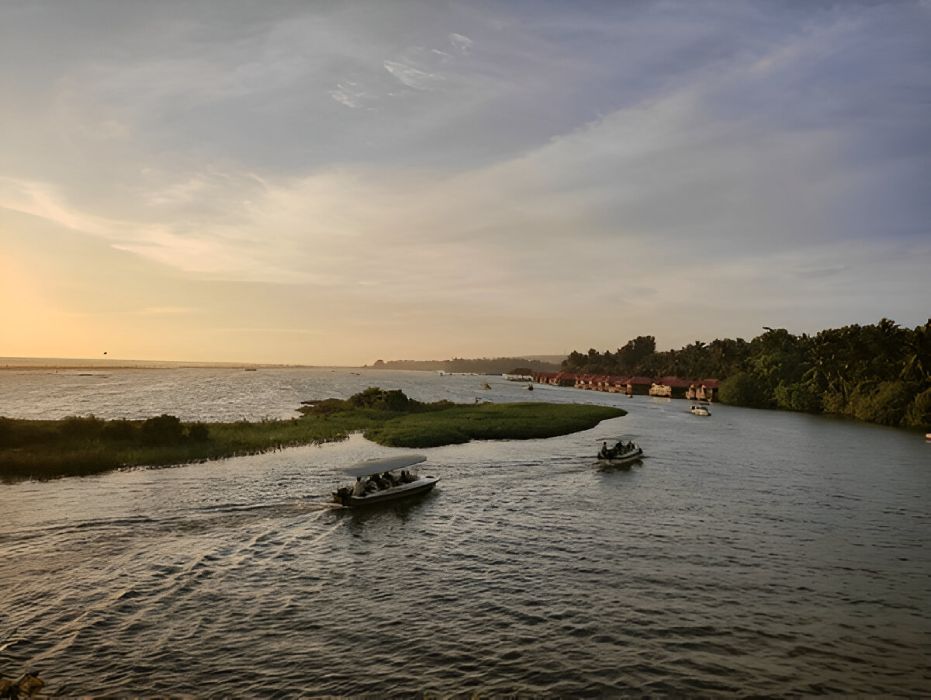Poovar backwater boating traditional boat ride Kerala