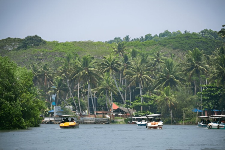 Poovar backwater boating tour lagoon Kerala