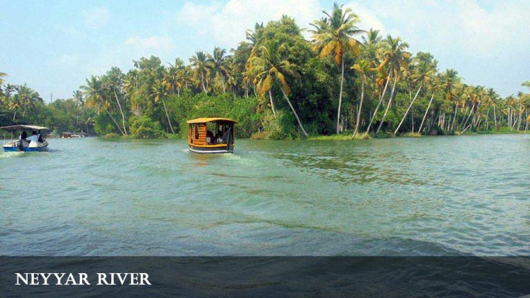 Boats cruising the palm-lined Neyyar River at Poovar