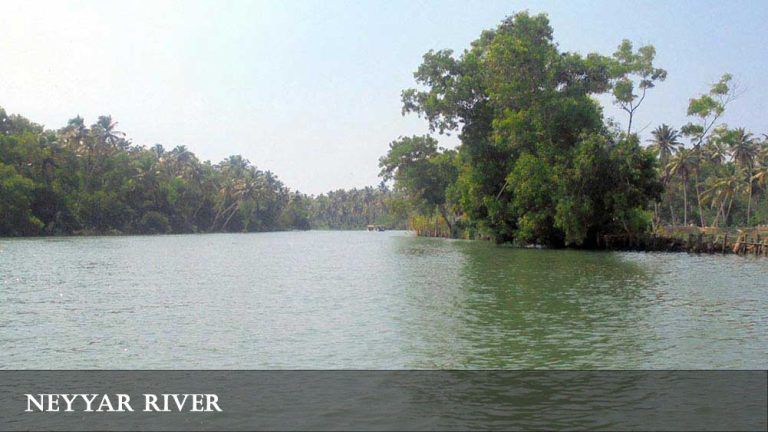 Small green island in the Neyyar River, Poovar