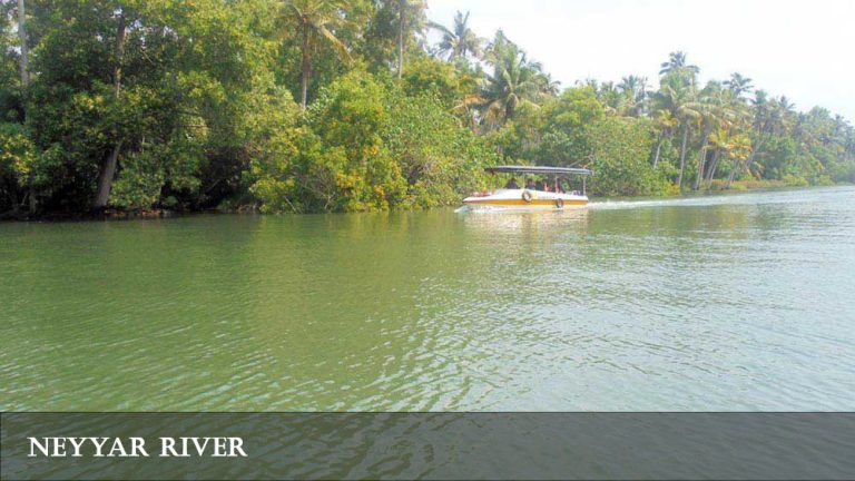 Speed boat on the Neyyar River at Poovar