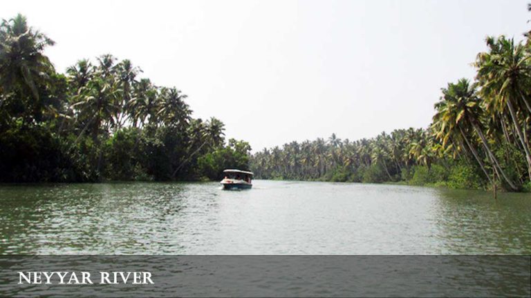 Boat on the Neyyar River framed by coconut palms