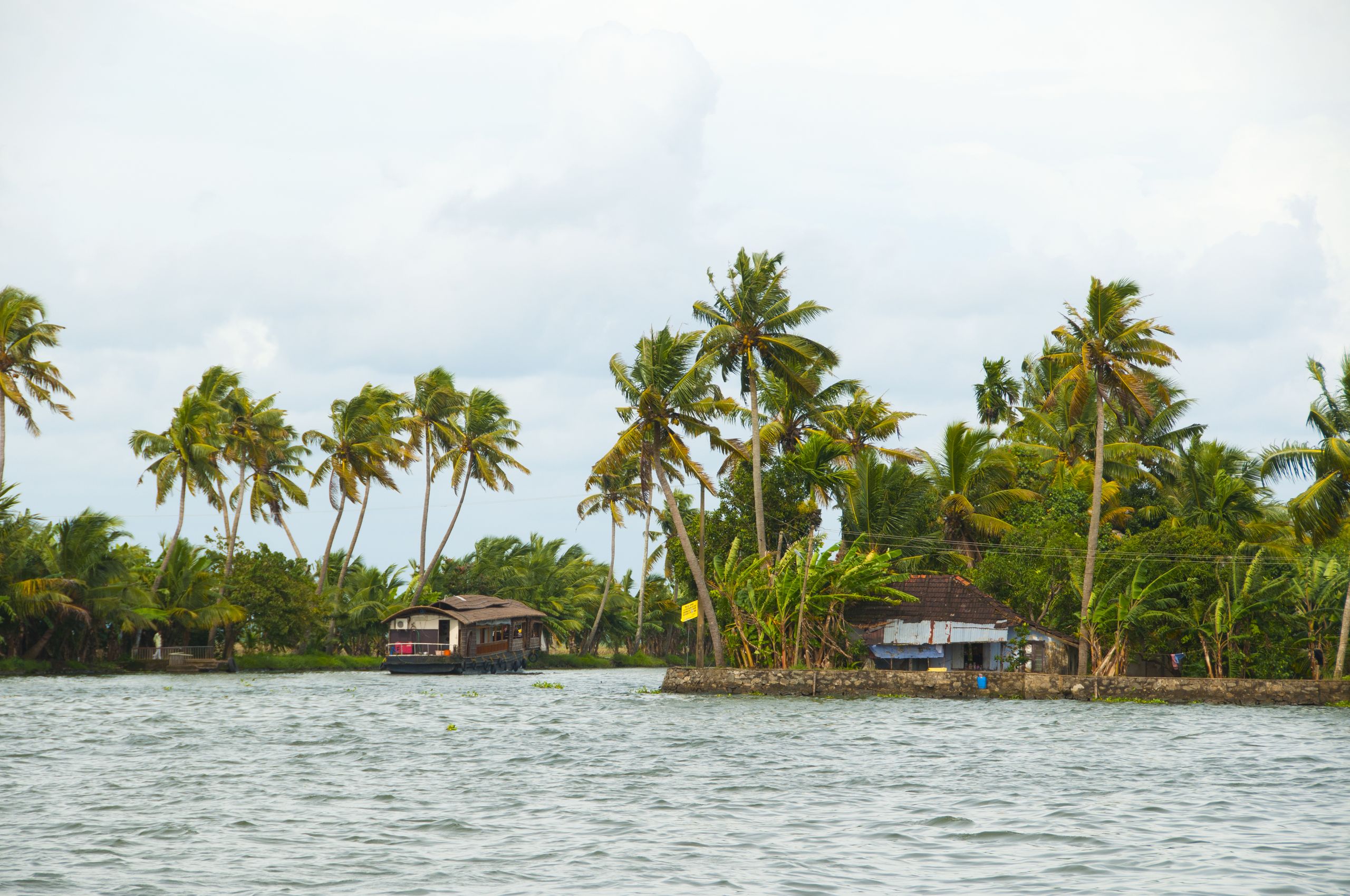 Houseboat on palm-fringed backwaters near Poovar, Kerala